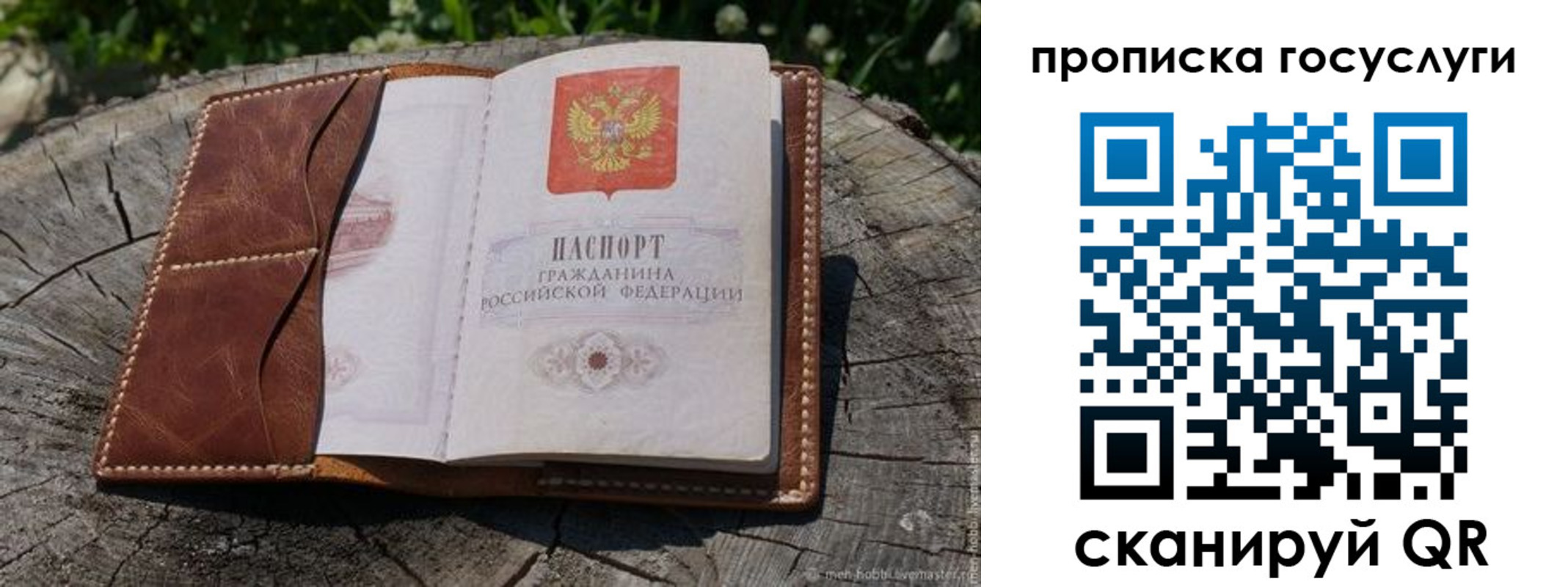 прописка для школы в Тавде